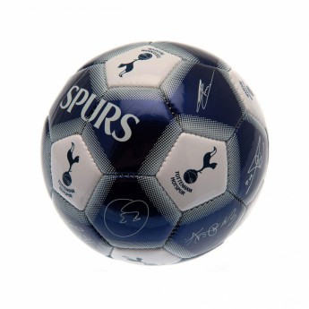 Tottenham Hotspur подписана топка Mini Ball Signature
