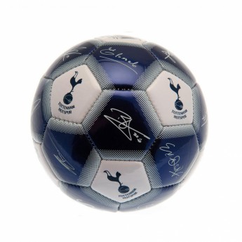 Tottenham Hotspur подписана топка Mini Ball Signature
