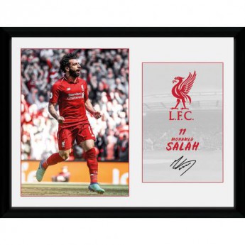 Liverpool FC картина в рамка 11Salah 16 x 12