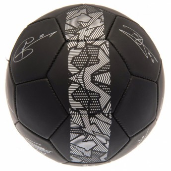 Tottenham Hotspur футболна топка Football Signature PH - size 5